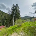 Le Refuge Perche Du Saut De La Bourrique, Spa, Terrain Cloture, Bordure De Foret * Gérardmer