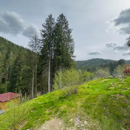 Le Refuge Perche Du Saut De La Bourrique, Spa, Terrain Cloture, Bordure De Foret * Gerardmer
