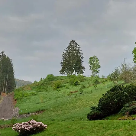 Le Refuge Perche Du Saut De La Bourrique, Spa, Terrain Cloture, Bordure De Foret Gérardmer