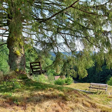 Le Refuge Perche Du Saut De La Bourrique, Spa, Terrain Cloture, Bordure De Foret Chalet *