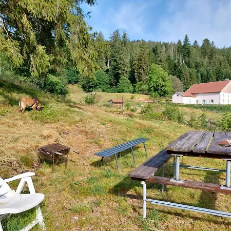 Le Refuge Perche Du Saut De La Bourrique Spa, Terrain Cloture בקתה