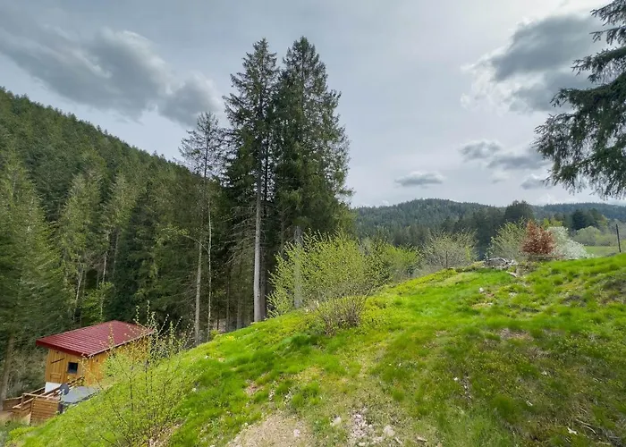 Le Refuge Perche Du Saut De La Bourrique, Spa, Terrain Cloture, Bordure De Foret * Gerardmer