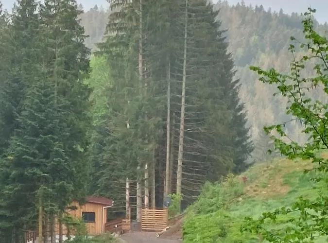 Chalet Le Refuge Perche Du Saut De La Bourrique, Spa, Terrain Cloture, Bordure De Foret