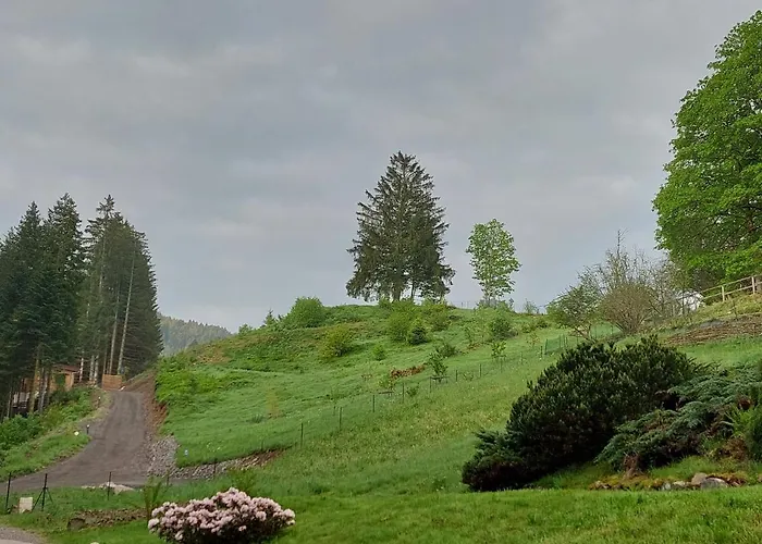Le Refuge Perche Du Saut De La Bourrique, Spa, Terrain Cloture, Bordure De Foret Gerardmer