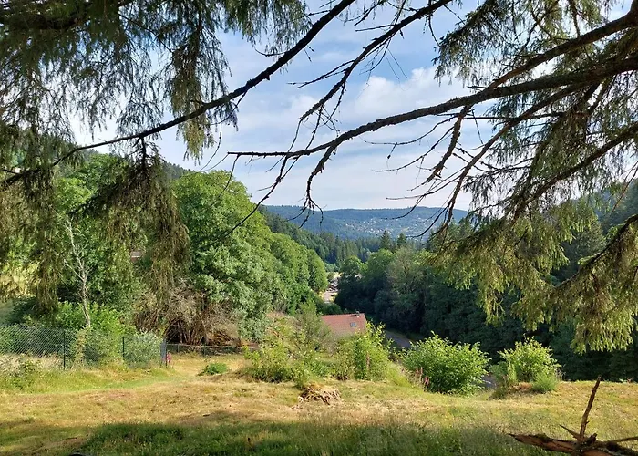 Le Refuge Perche Du Saut De La Bourrique, Spa, Terrain Cloture, Bordure De Foret Шале