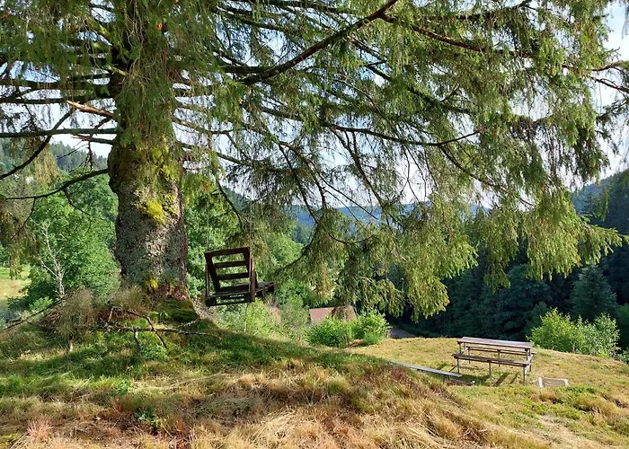 Le Refuge Perche Du Saut De La Bourrique, Spa, Terrain Cloture, Bordure De Foret Chalet *