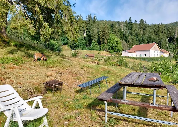 Le Refuge Perche Du Saut De La Bourrique, Spa, Terrain Cloture, Bordure De Foret Шале